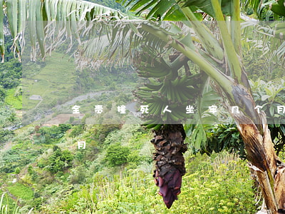 全责撞死人坐牢几个月(全责撞死人坐牢几个月)