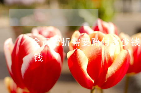 全责骨折需要赔付多少钱(骨折要求赔偿多少钱)
