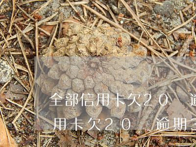 全部信用卡欠20萬逾期3個月了-全部信用卡欠20萬逾期3個月了怎么辦