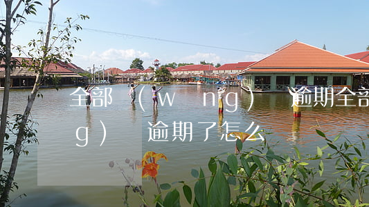 全部網(wǎng)貸逾期(全部網(wǎng)貸逾期了怎么辦)