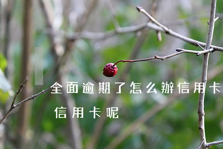 全面逾期了怎么辦信用卡(全面逾期了怎么辦信用卡呢)