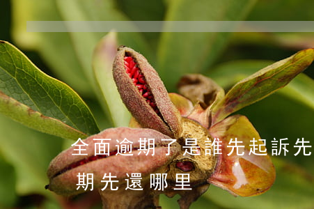 全面逾期了是誰先起訴先還誰的嗎-全面逾期先還哪里