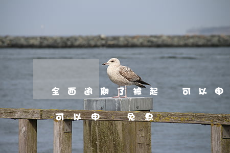 全面逾期了被起訴可以申請免息嗎(貸款逾期可以申請免息嗎)