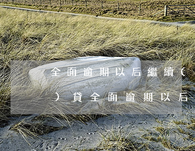 全面逾期以后繼續(xù)借網(wǎng)貸(全面逾期以后繼續(xù)借網(wǎng)貸)