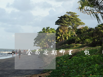 全面逾期哪里還能網(wǎng)貸