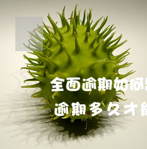 全面逾期如何跟银行申请挂账停息(停息挂账逾期多久才能申请)