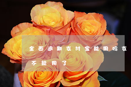 全面逾期支付宝能用吗(支付宝逾期是不是就不能用了)