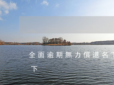 全面逾期無力償還名下(全面逾期無力償還名下)