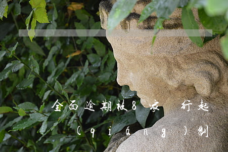 全面逾期被8家銀行起訴申請(qǐng)強(qiáng)制執(zhí)行（全面逾期被）