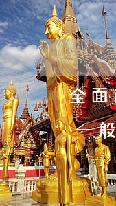 全面逾期被起訴怎么辦(如果逾期被起訴法院一般怎么處理)