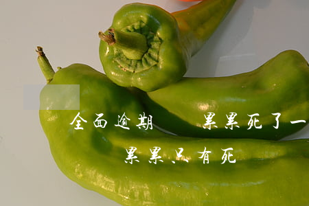 全面逾期負債累累死了一了百了-全面逾期負債累累只有死嗎