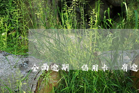 全面逾期辦信用卡嗎(有逾期辦理信用卡)