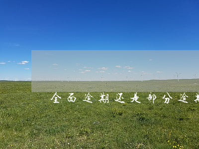 全面逾期还是部分逾期好(全面逾期该怎么办)