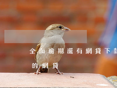 全面逾期還有網貸下款嗎(有當前逾期可以過的網貸)