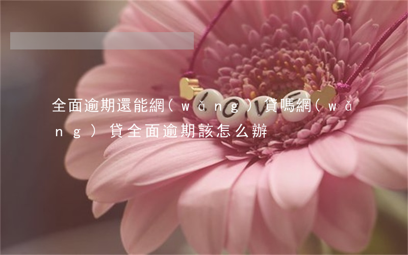 全面逾期還能網(wǎng)貸嗎 網(wǎng)貸全面逾期該怎么辦