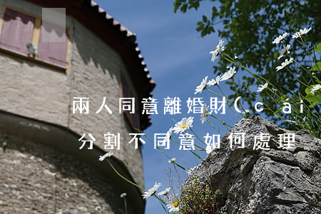 兩人同意離婚財(cái)產(chǎn)分割不同意如何處理