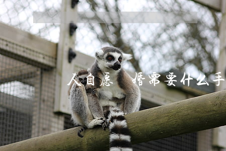 兩人自愿離婚需要什么手續(xù)