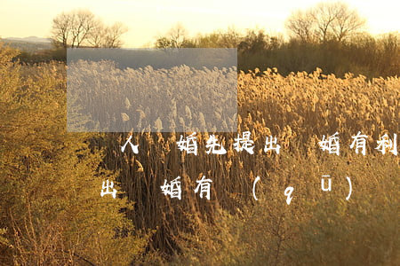 兩人離婚先提出離婚有利嗎(夫妻雙方誰先提出離婚有區(qū)別嗎)