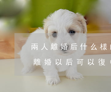 兩人離婚后什么樣的家庭可以復(fù)婚(離婚以后可以復(fù)婚嗎)