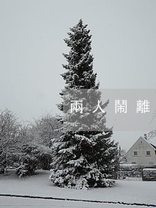 兩人鬧離婚怎么辦