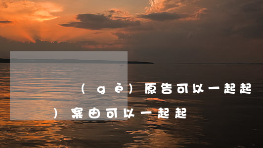 兩個(gè)原告可以一起起訴(兩個(gè)案由可以一起起訴嗎)