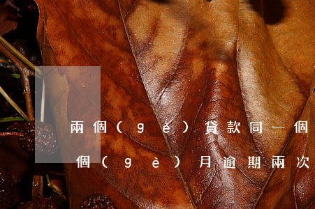 兩個(gè)貸款同一個(gè)月逾期(一個(gè)月逾期兩次的后果)