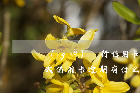 兩個(gè)銀行信用卡逾期影響嗎(征信有兩次信用卡逾期有什么影響)