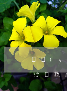 兩個(gè)銀行的信用卡逾期還款后果(銀行還款逾期兩天影響信用嗎)