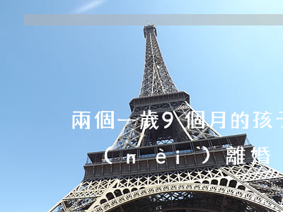 兩個一歲9個月的孩子離婚怎么分(孩子兩歲內(nèi)離婚)