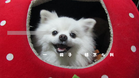兩個一歲孩子離婚怎么判