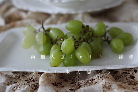 兩個人協(xié)議離婚需要什么手續(xù)(兩人協(xié)議離婚怎么寫協(xié)議)