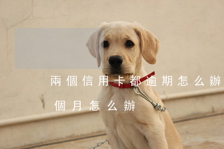 兩個信用卡都逾期怎么辦(兩張信用卡逾期三個月怎么辦)