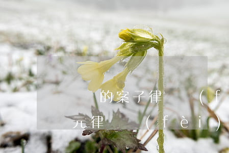 兩個億的案子律師費(fèi)多少(起訴兩萬元律師費(fèi)多少)