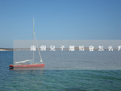 兩個兒子離婚會怎么判