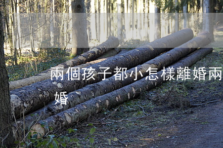 兩個孩子都小怎樣離婚(兩個孩子都小怎樣離婚)