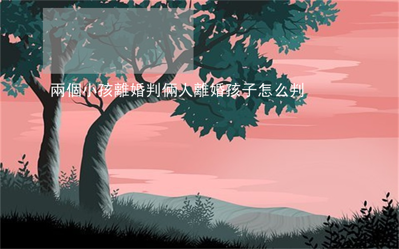 兩個小孩離婚判(倆人離婚孩子怎么判)