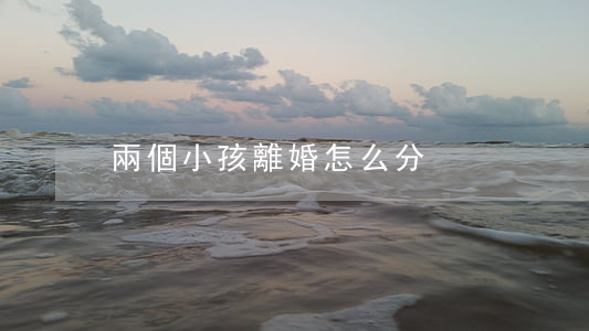 兩個小孩離婚怎么分