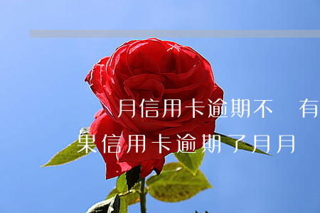兩個月信用卡逾期不還有什么結(jié)果（信用卡逾期了月月還款）
