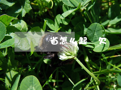 兩個省怎么起訴欠錢 兩個省怎么起訴離婚
