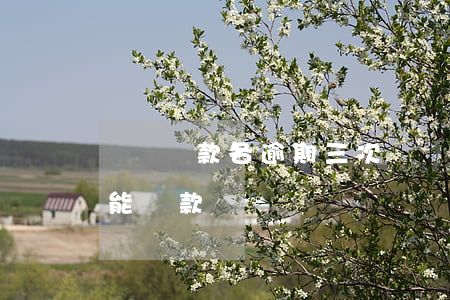 兩個貸款各逾期三次(連續(xù)三次逾期能貸款嗎)