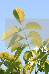 兩千信用卡欠了兩個(gè)月(兩千信用卡欠了兩個(gè)月怎么辦)