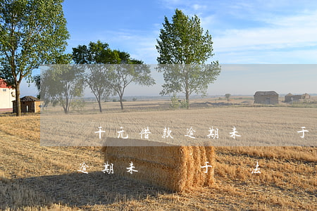 兩千元借款逾期未還屬于違法嗎(兩千元借款逾期未還屬于違法嗎)