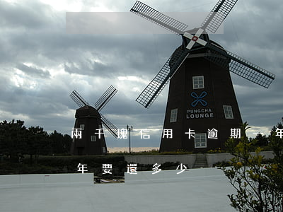 兩千塊信用卡逾期一年(信用卡二萬元逾期一年要還多少)