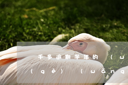 兩千多逾期半年的網(wǎng)貸(十來個(gè)網(wǎng)貸逾期半年)