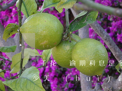 兩千花唄逾期利息是多少(花唄欠兩百逾期多少天會(huì)起訴,我已經(jīng)還了2000多)