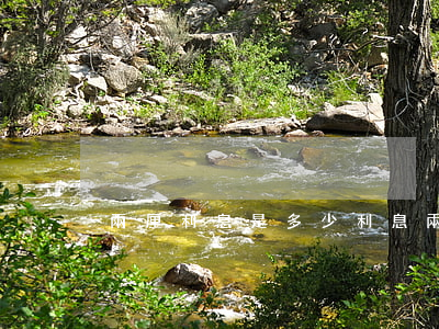 兩厘利息是多少(利息兩厘是什么意思)