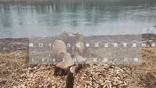 兩口子一方出事故還需要離婚嗎(離婚后兩個(gè)孩子能跟一方嗎)