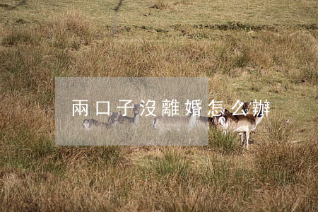 兩口子沒離婚怎么辦