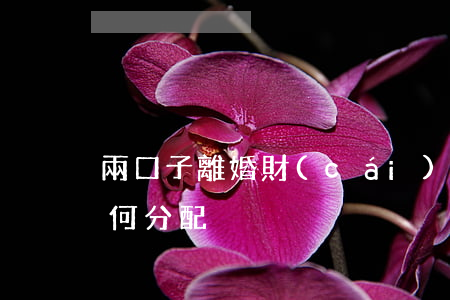兩口子離婚財(cái)產(chǎn)如何分配