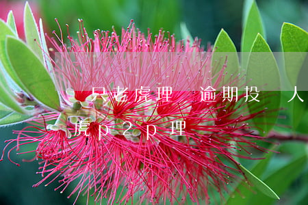 兩只老虎理財逾期投資人要怎么辦-兩只老虎p2p理財